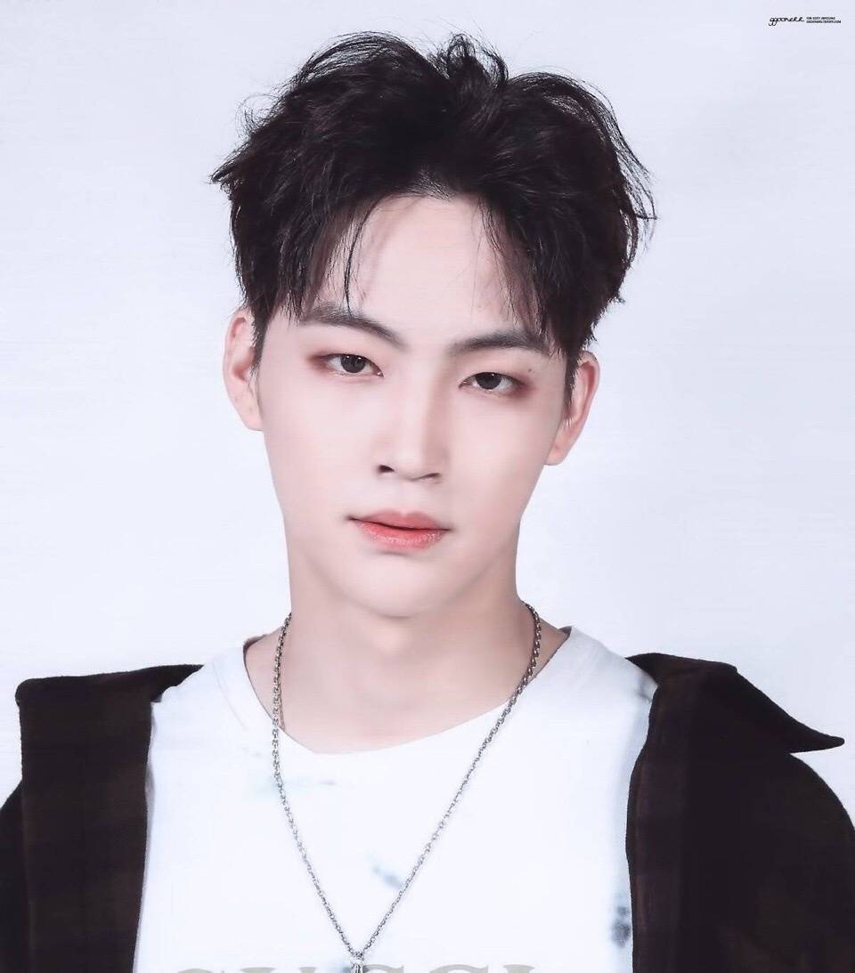 【林在范】做我的猫2