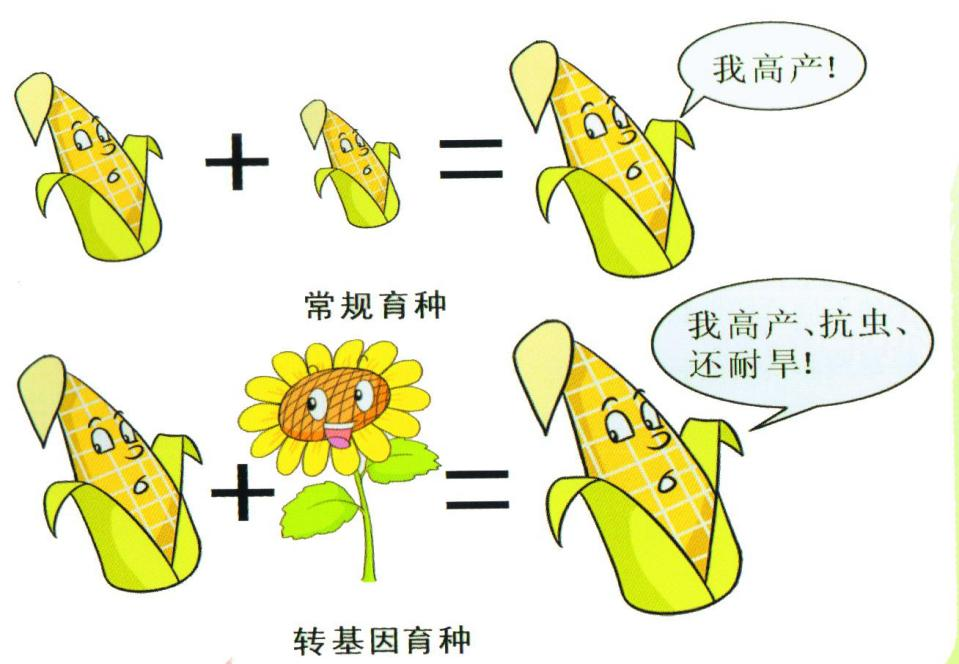 畜禽苗种