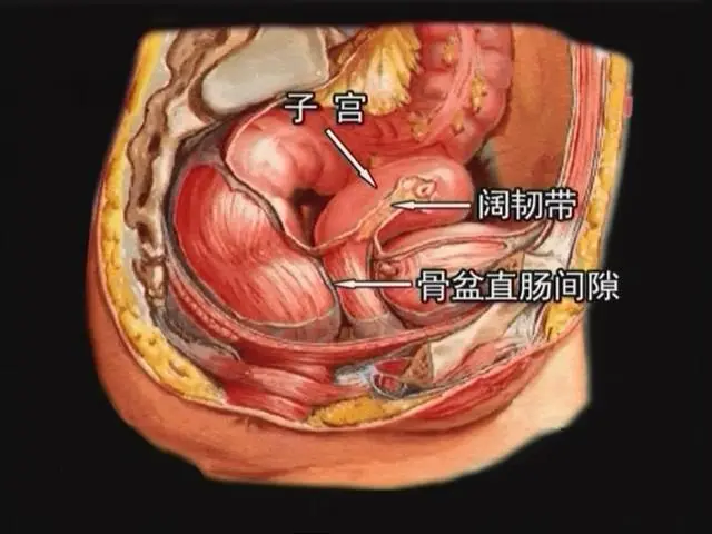 直肠肛管周围间隙