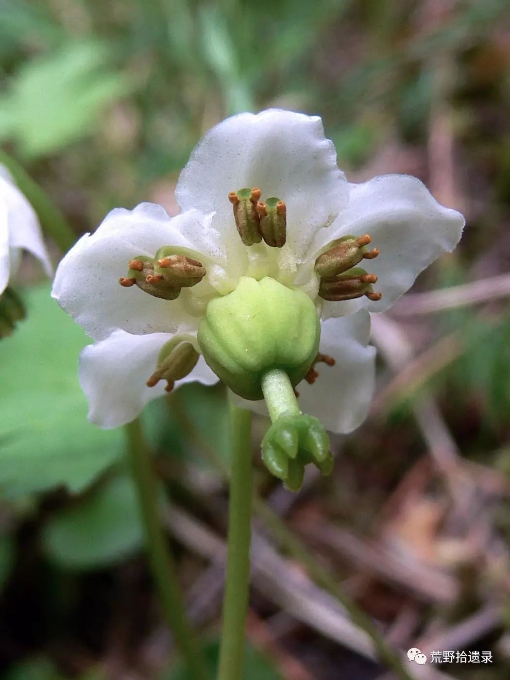  中金在线财经号