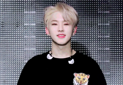 pann上下班对爱豆的影响seventeen权顺荣