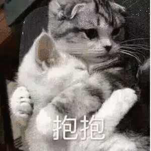 300_300gif 动态图 动图