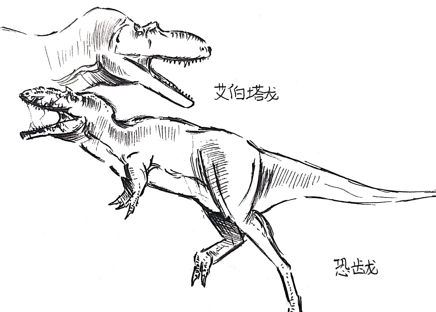 全b站最冷恐龙《古兽公园》(1)分布于世界的冷门霸主 - 哔哩哔哩