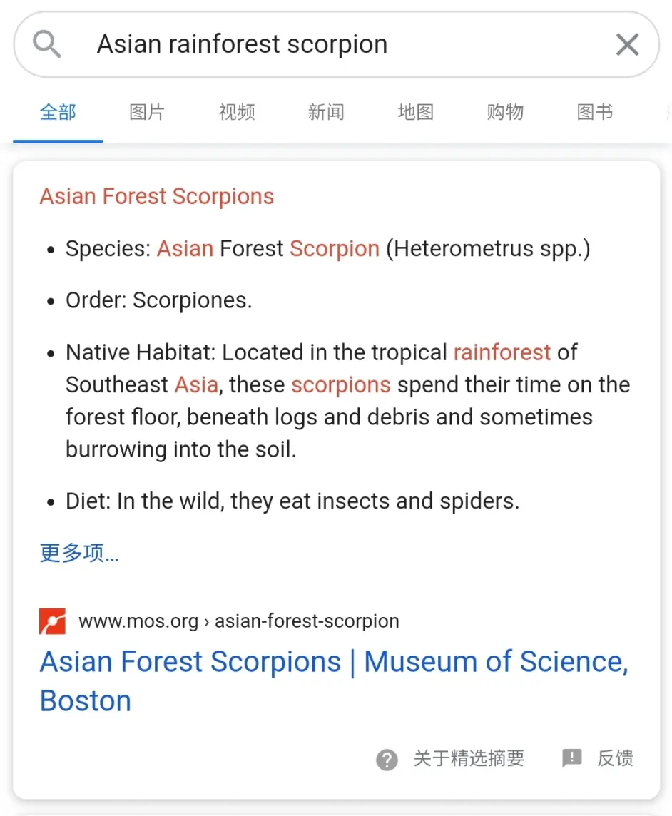 种级专题 亚洲雨林蝎 的今世前身梳理 哔哩哔哩