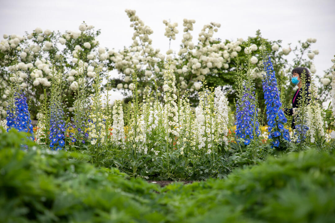 招聘信息发布_招聘信息_招聘信息发布文案