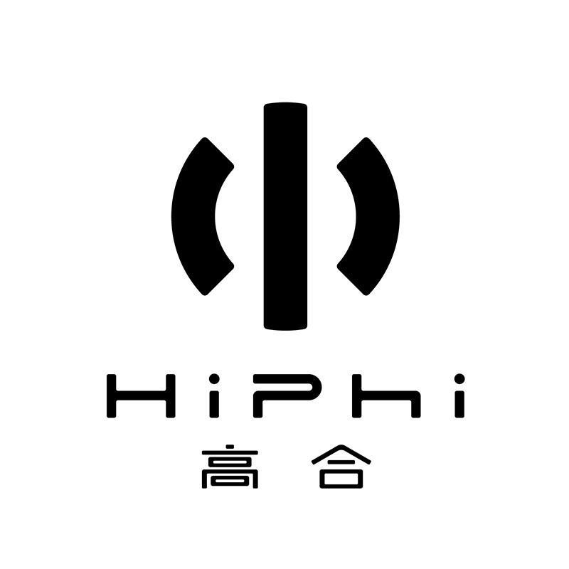 华人运通丁磊,高合汽车是下一个特斯拉还是乐视?