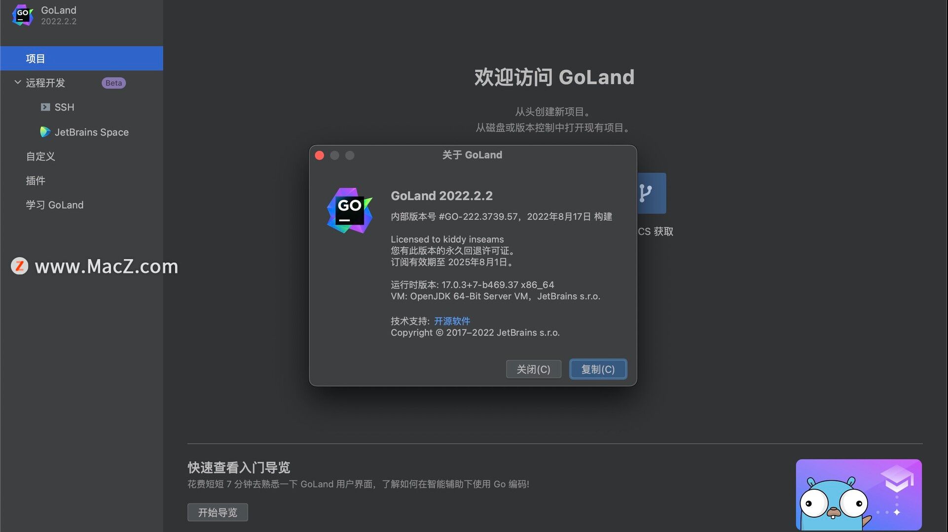 JetBrains GoLand 2023.1.3 for windows download free