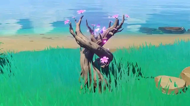 原神稻妻场景分享