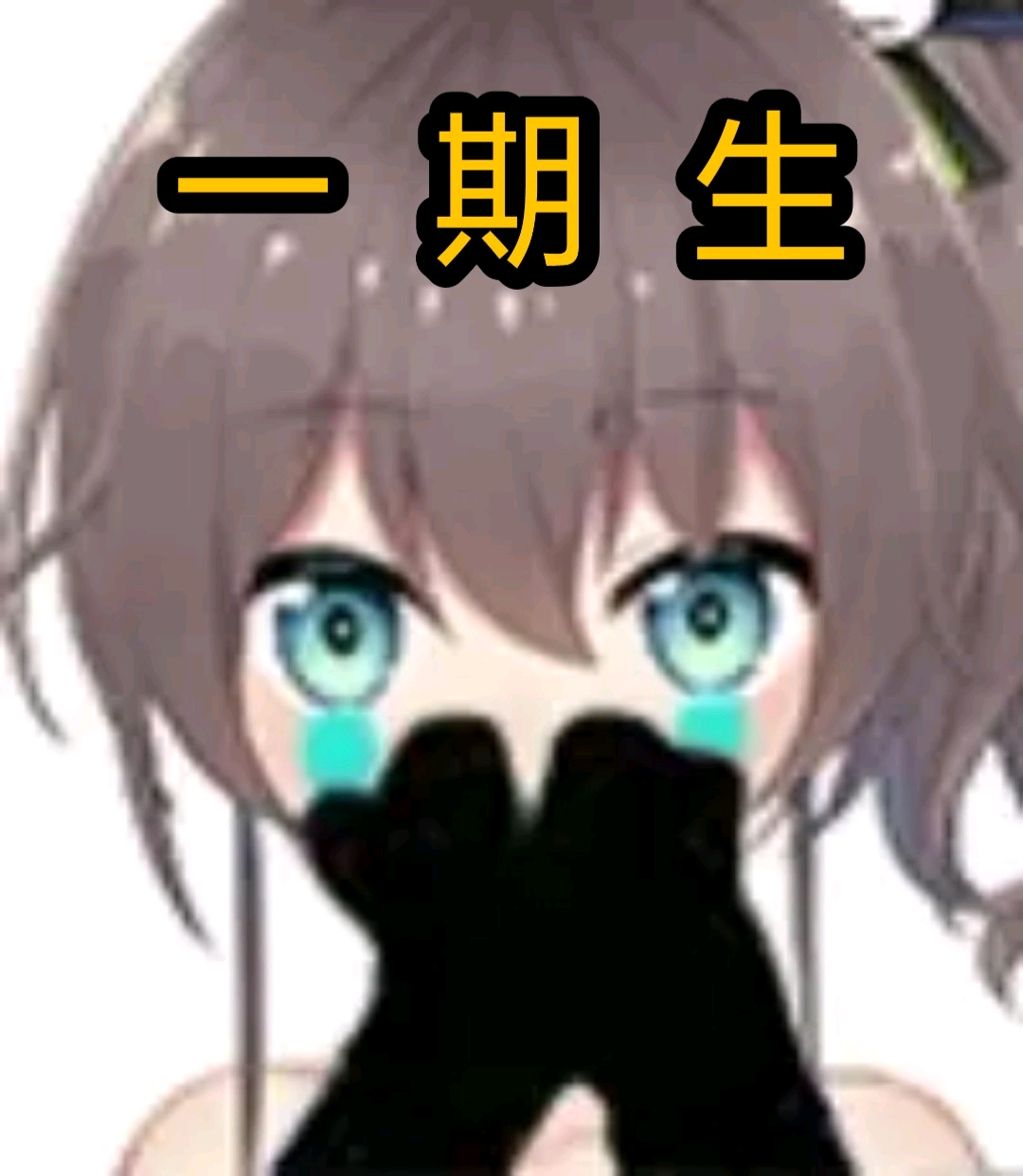 vtbhololive夏色祭的表情包第二期