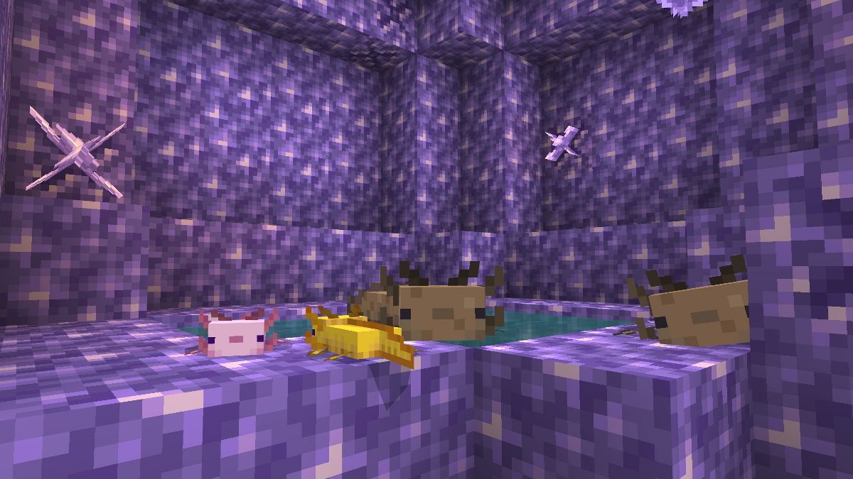 Minecraft Beta 1 17 10 20 