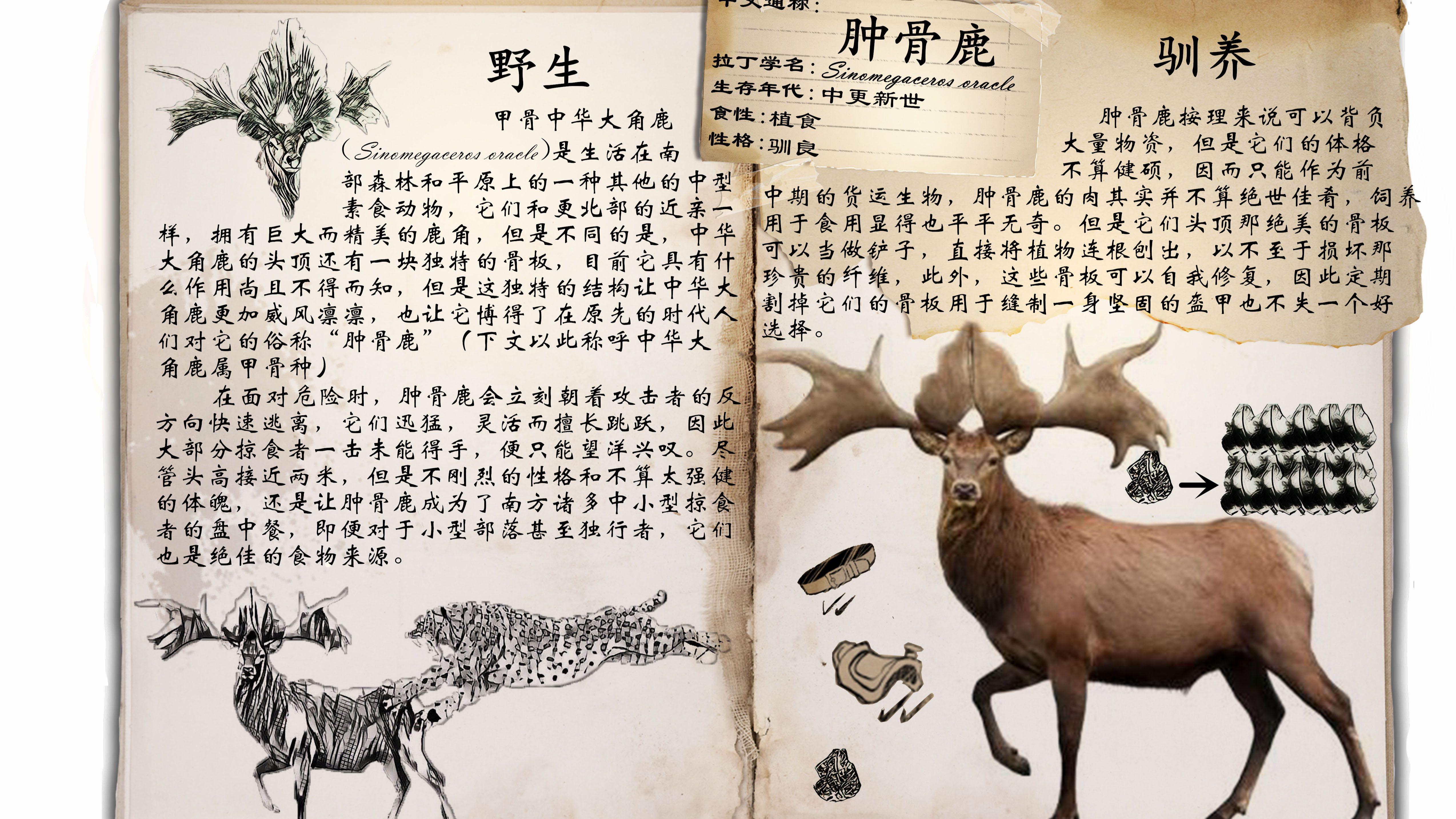 ラッピング無料 鹿の角鹿の骨 置物