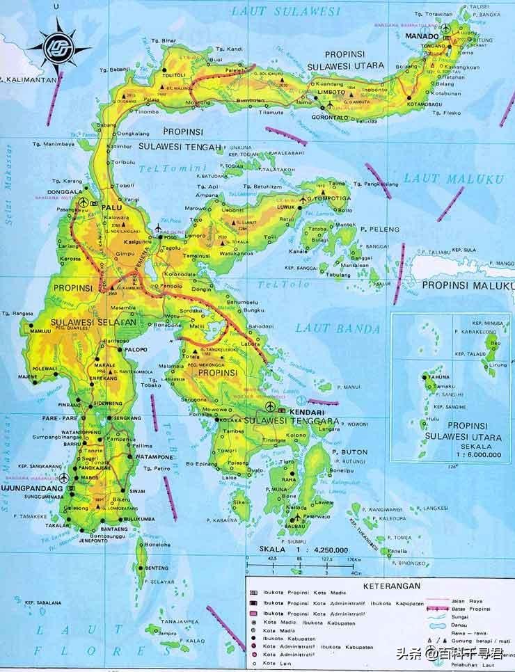 这三种可爱的迷你水牛如果不是濒危动物还真想养来当宠物