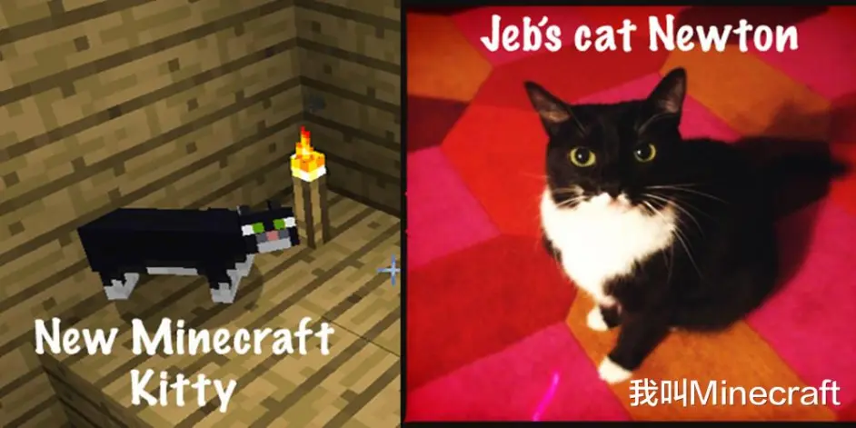 我的世界vs现实 来自地球的7个怪物 原型 女巫背后的真相 哔哩哔哩