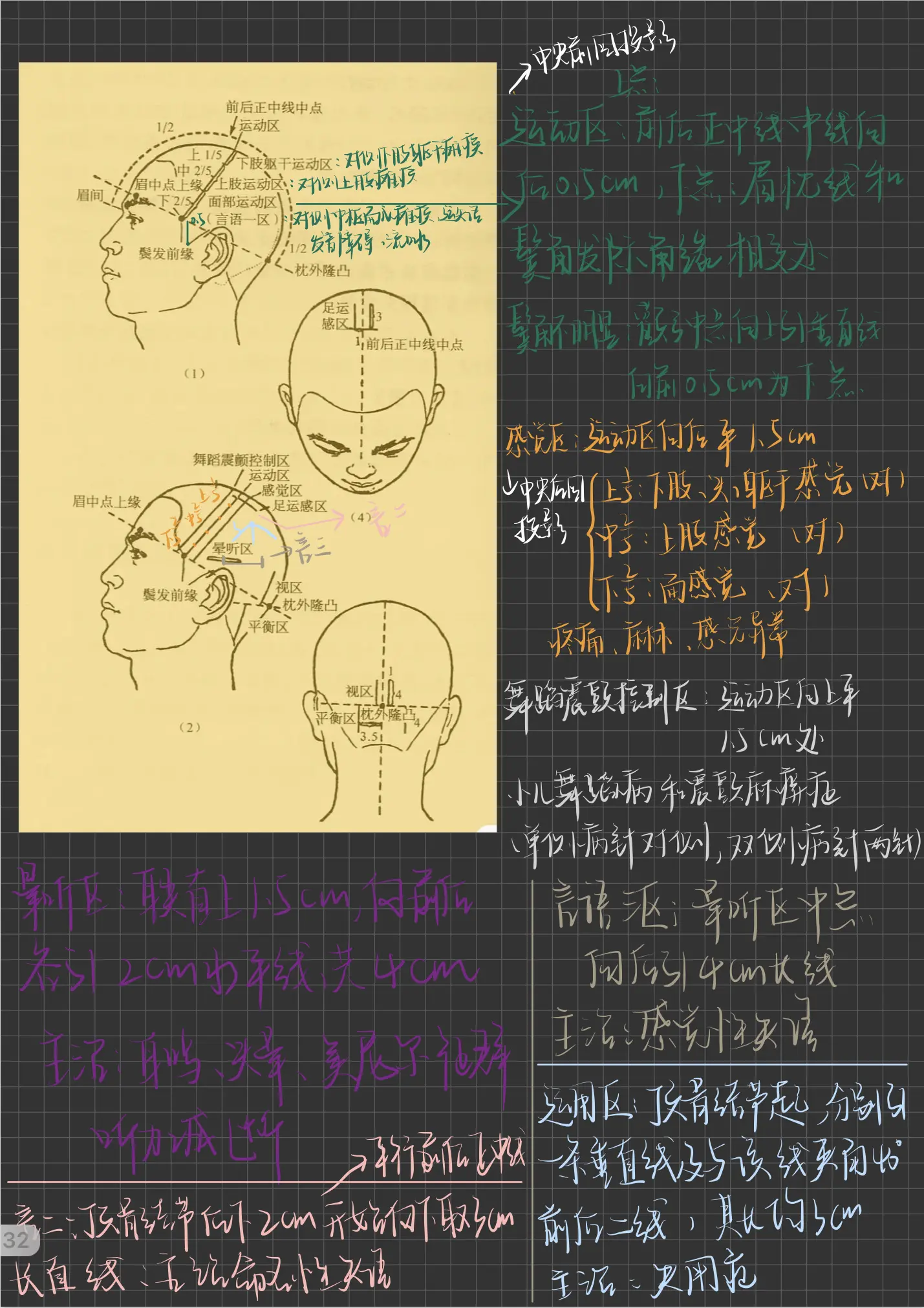 头针语言区图解图片