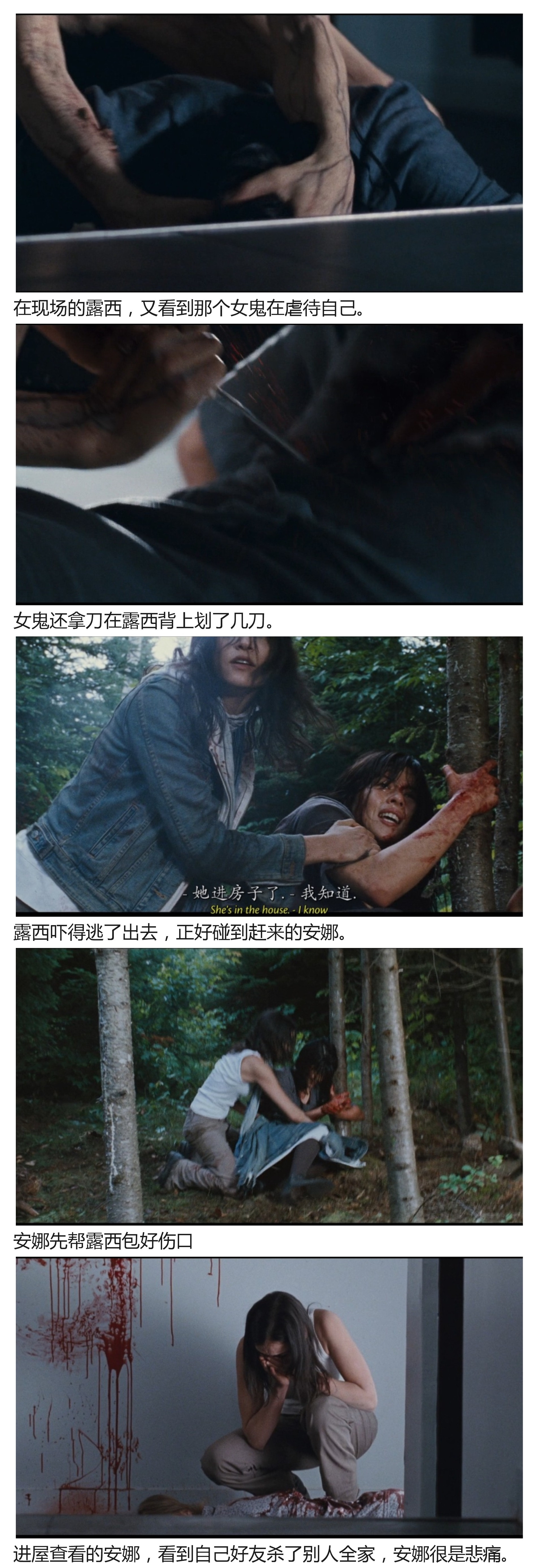 少有人解说的恐怖片佳作殉难者