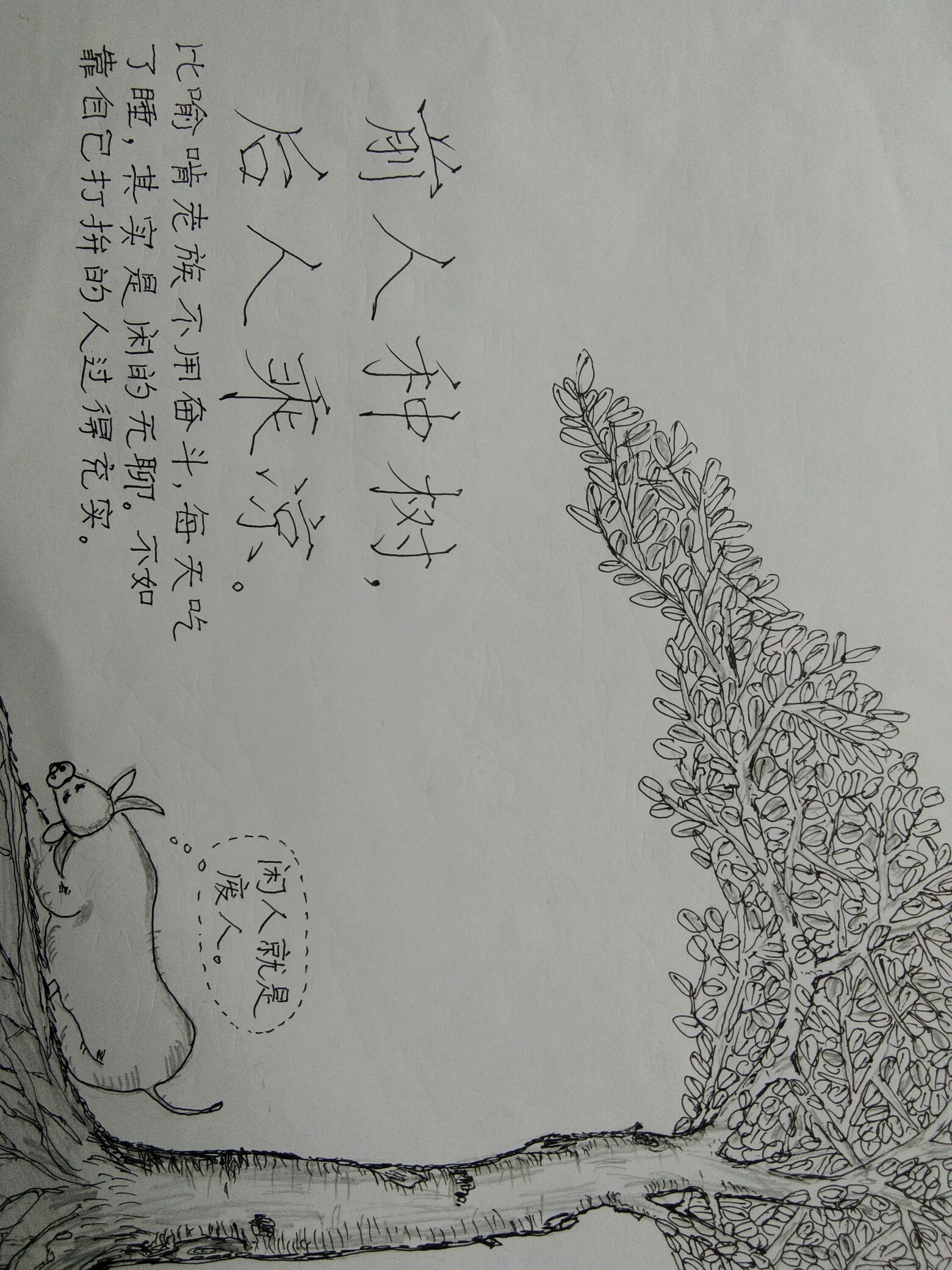 成语新解议论文（成语新解作文800字议论文）《成语新解作文200字》