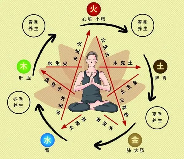 我的大学中医故事-11-第一节课