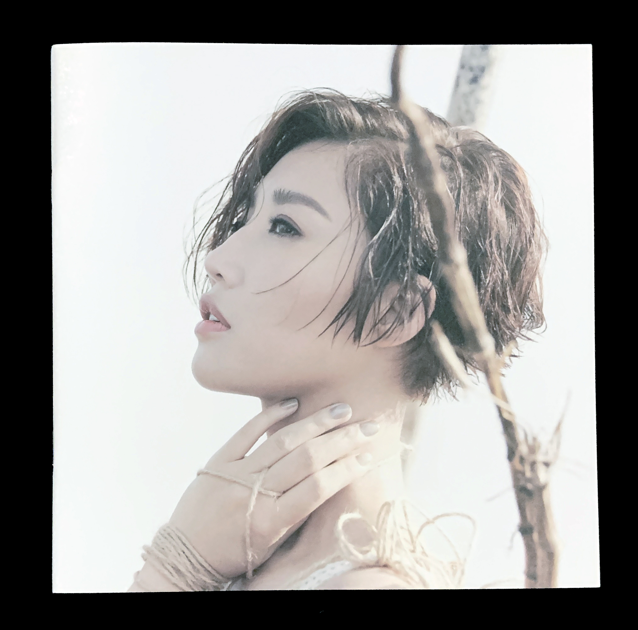 a-lin『同名专辑』黑胶图赏