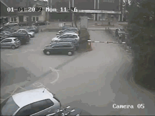 310_233gif 动态图 动图