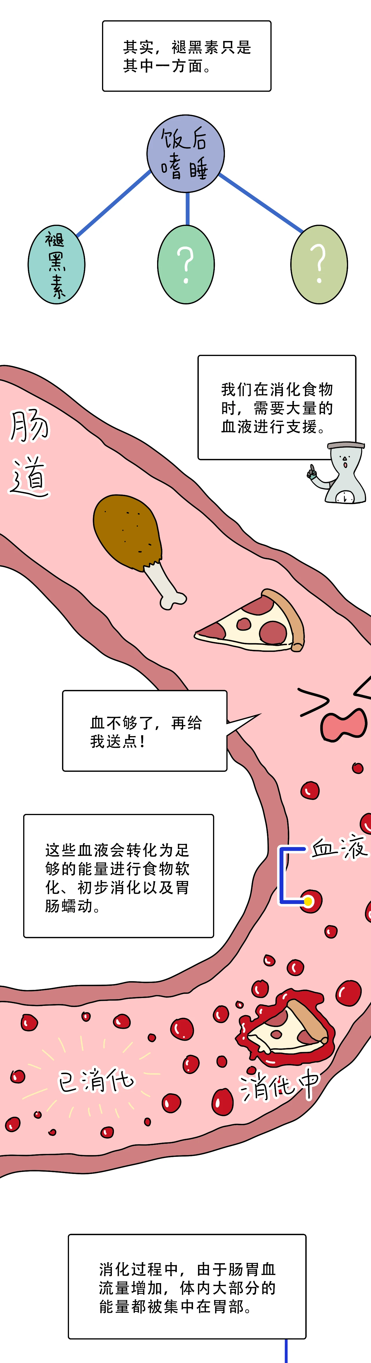 为什么一吃饱饭就犯困5