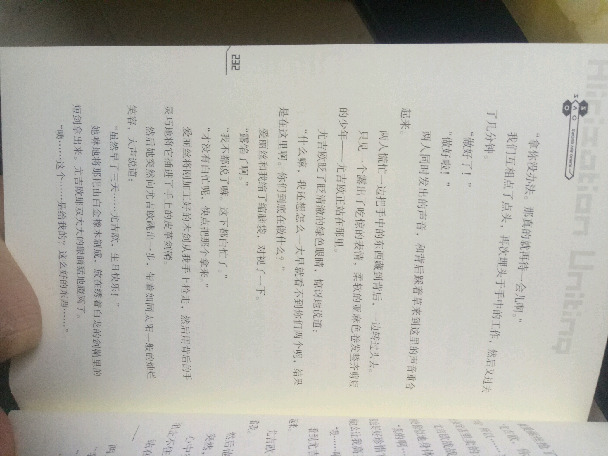 刀剑神域24集小说图片(其实就是剧透)