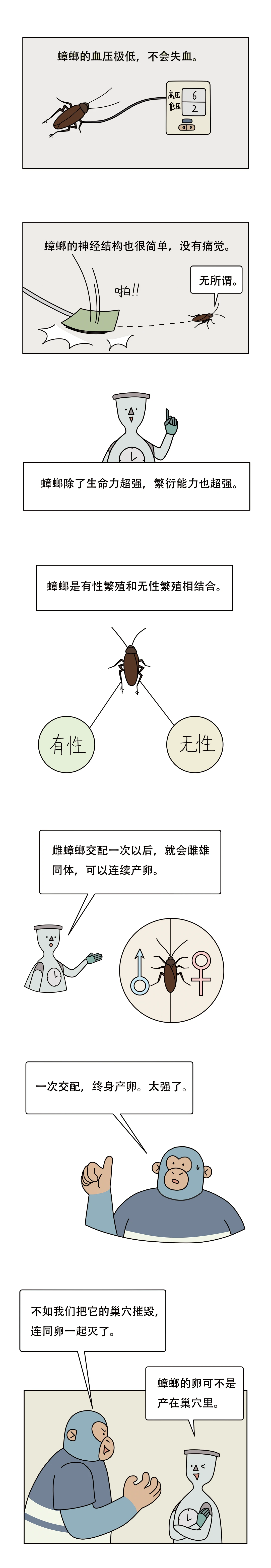 为什么蟑螂看起来虚弱却很难杀4