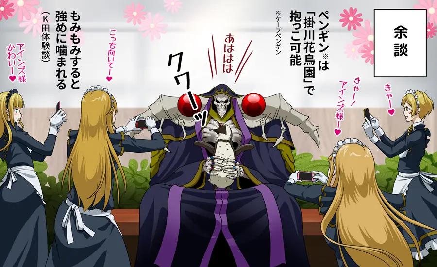 Overlord 茵克莉曼背景含义 42 哔哩哔哩