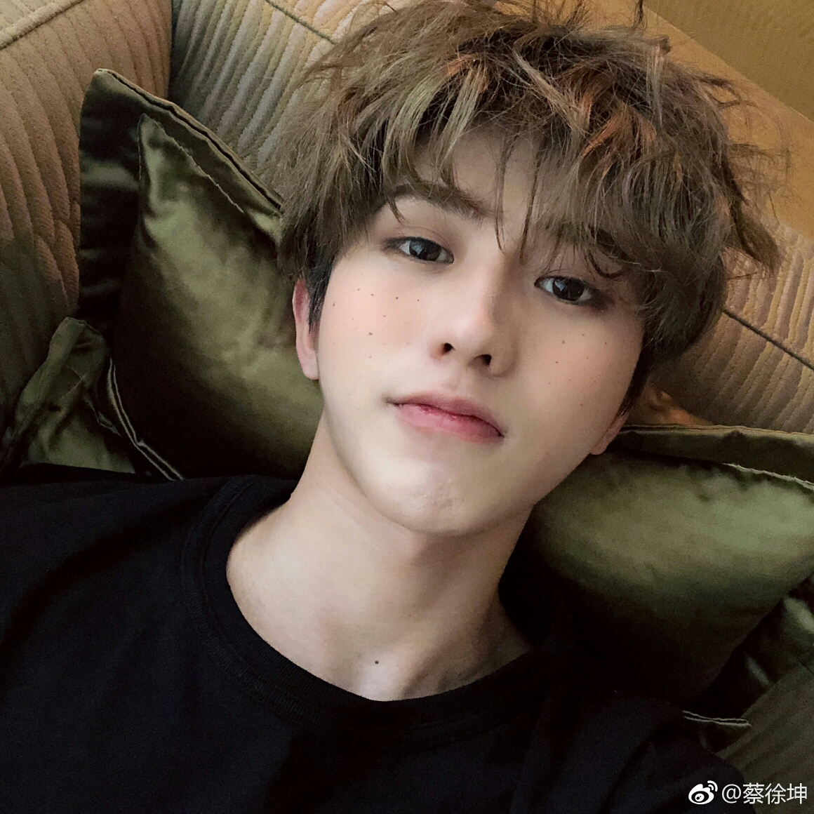 蔡徐坤X你 【你的爱豆是校草】 背景与预告