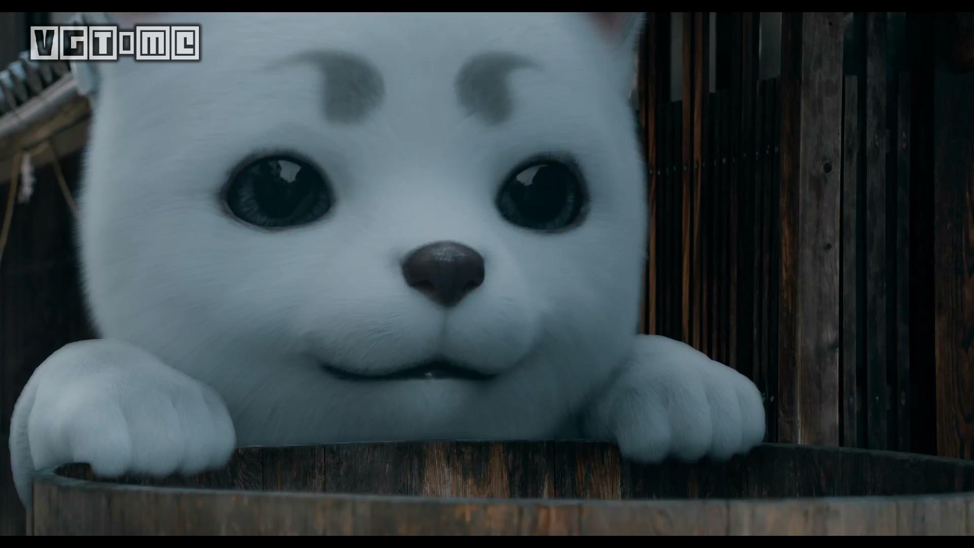 银魂真人电影——让我们一起开心的吐槽吧