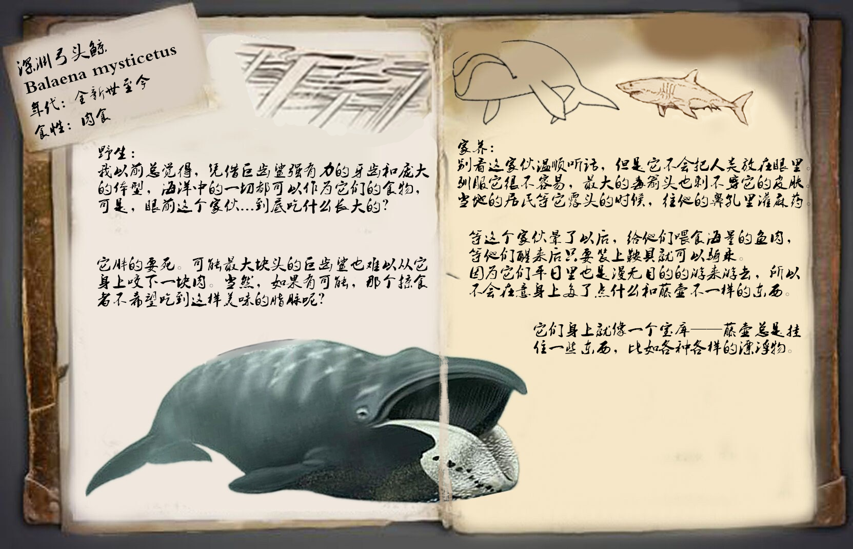 方舟的美丽新世界:深渊弓头鲸