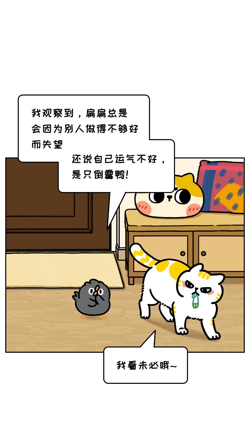 这一类人从来不会在关系里受委屈6