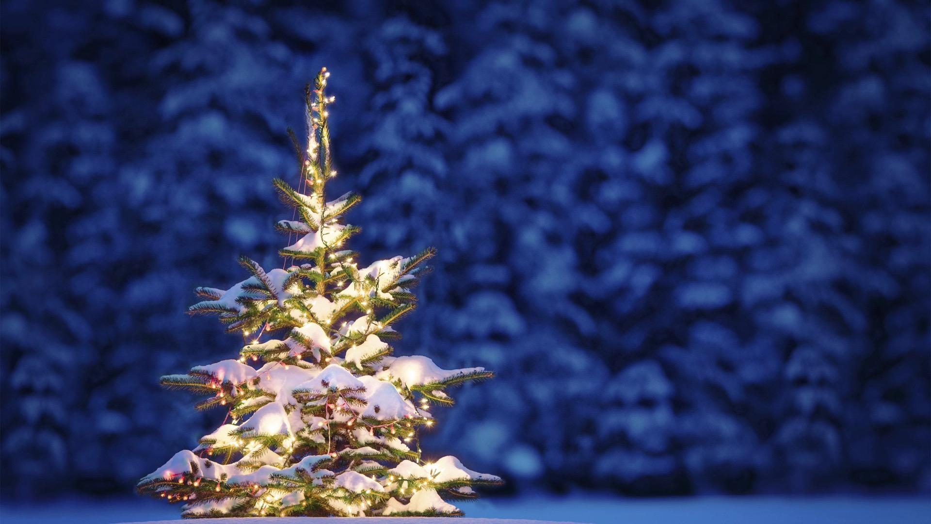 圣诞节高清mac动态壁纸