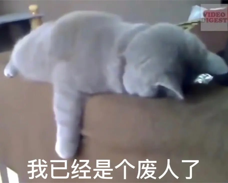 自制各种可爱小动物表情包 熊猫 柴犬 二哈 猫咪 土拨鼠 猫头鹰等 哔哩哔哩