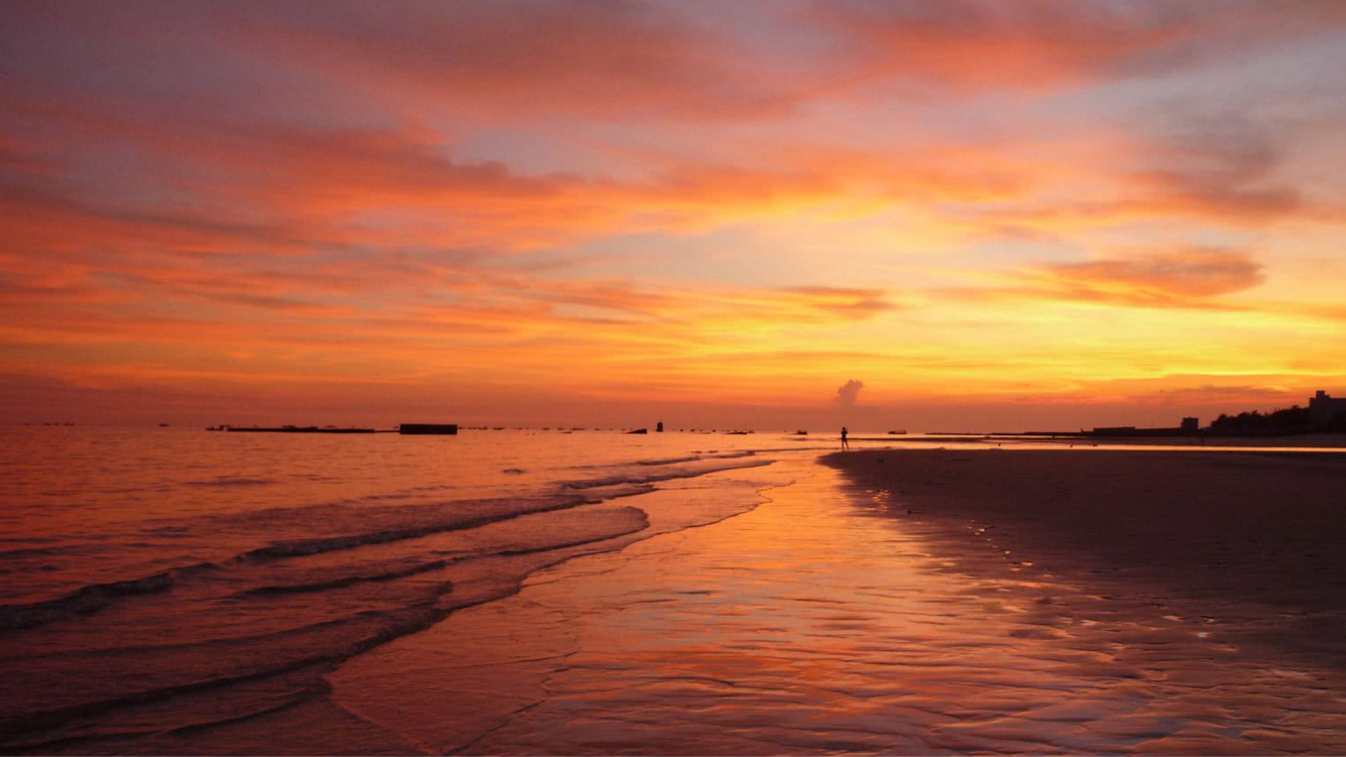 （ZJL）可惜不是你 - 哔哩哔哩