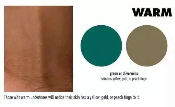 暖皮的血管颜色是偏青绿色