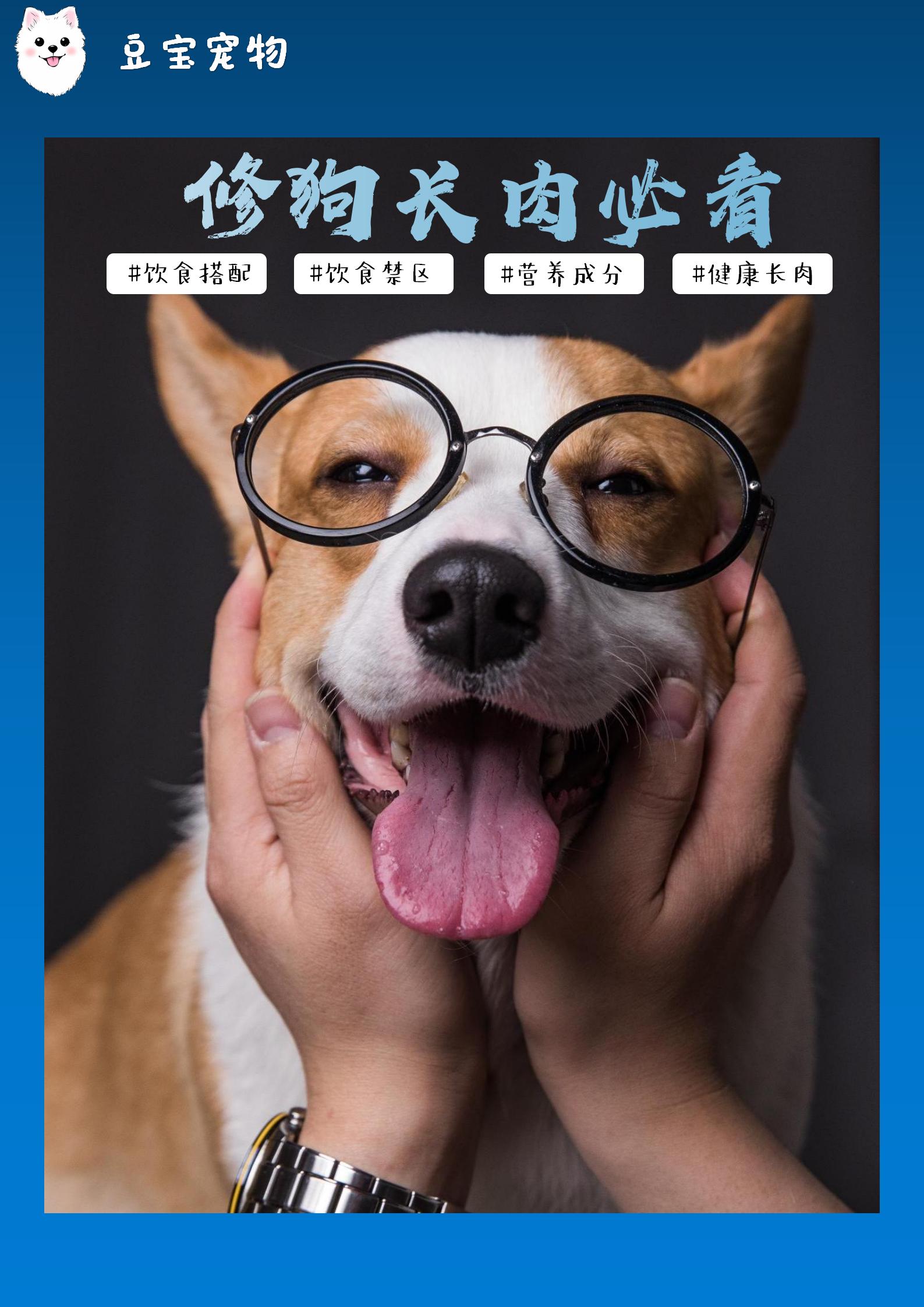 【豆宝小课堂】修狗长肉必看! - 哔哩哔哩