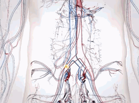 睡眠丨大脑的神奇排毒方式