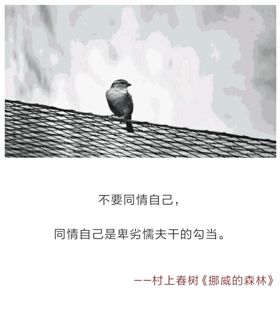 村上春树:我所爱的