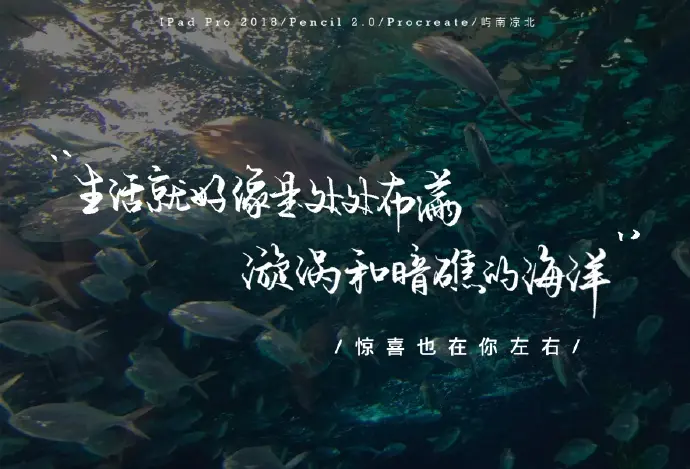 过树穿花踏遍山河 终要与你相逢 宇宙或人海 请认出我来 哔哩哔哩