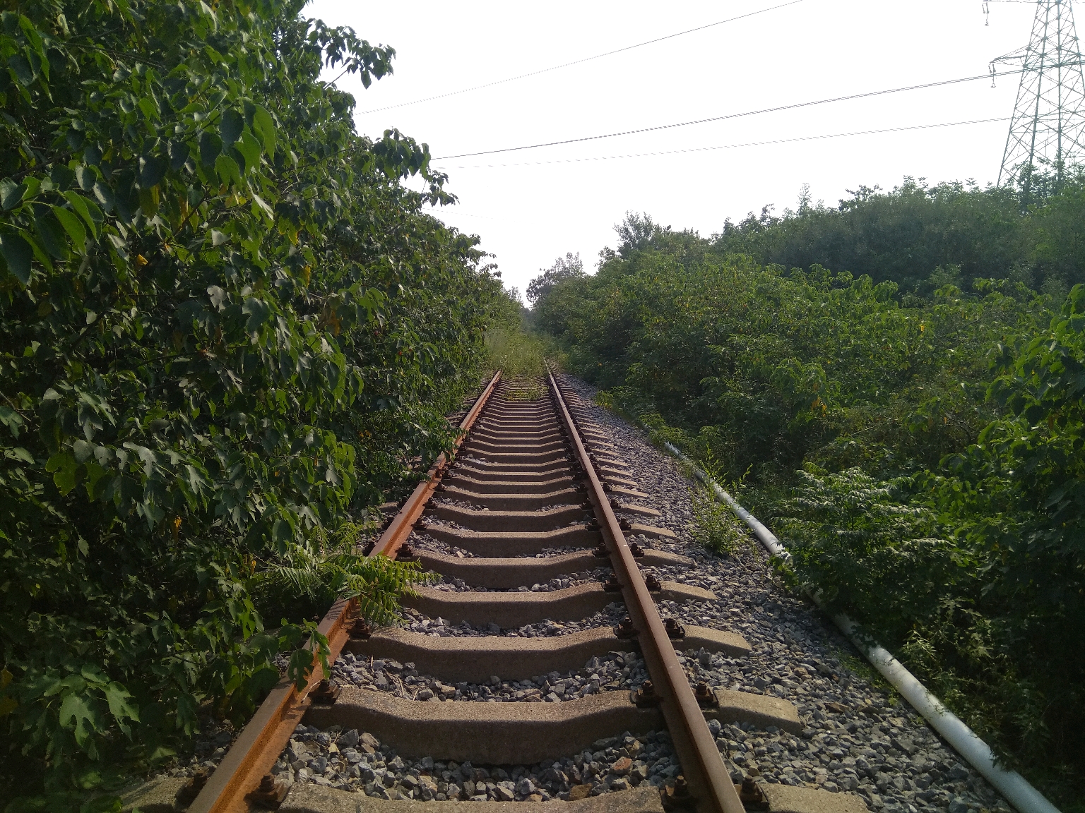 探访废弃的巩义孝大铁路