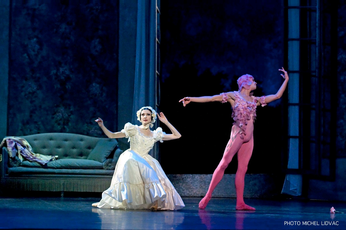 桃红色玫瑰花瓣的芭蕾舞女演员 向量例证. 插画 包括有 芭蕾舞短裙, 古典, 向量, 背包, 温文地, 花瓣 - 90957282