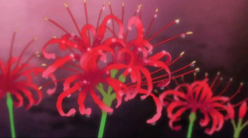 地狱少女一道 风景特辑 哔哩哔哩