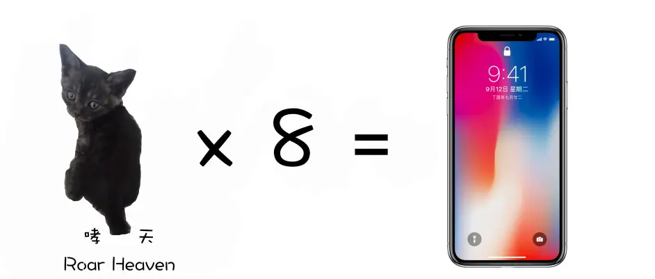 吸猫还是吸iphone X 一部iphone X可以买 这么多猫 哔哩哔哩