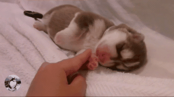 360_202gif 动态图 动图