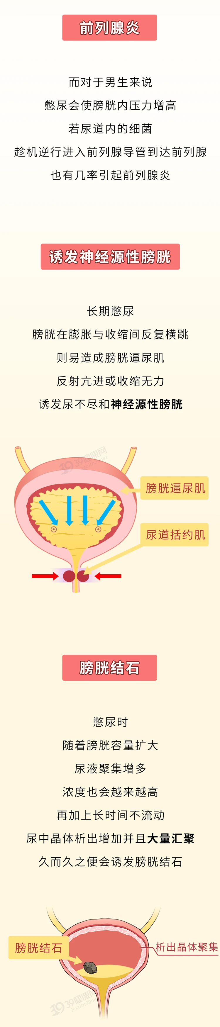 经常憋尿或会憋坏全身多个器官5