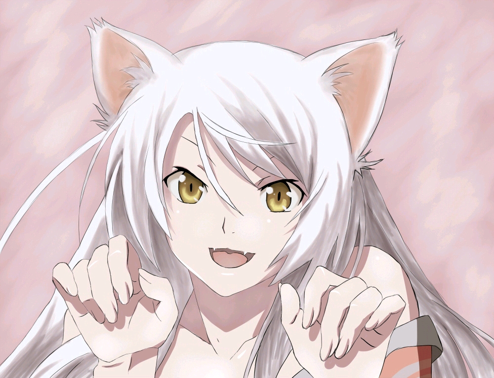 物语系列羽川翼 哔哩哔哩