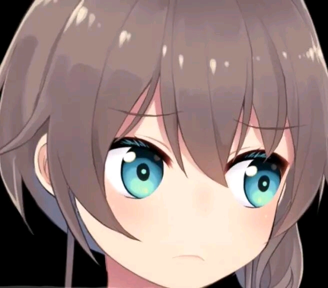 vtbhololive夏色祭的表情包第二期