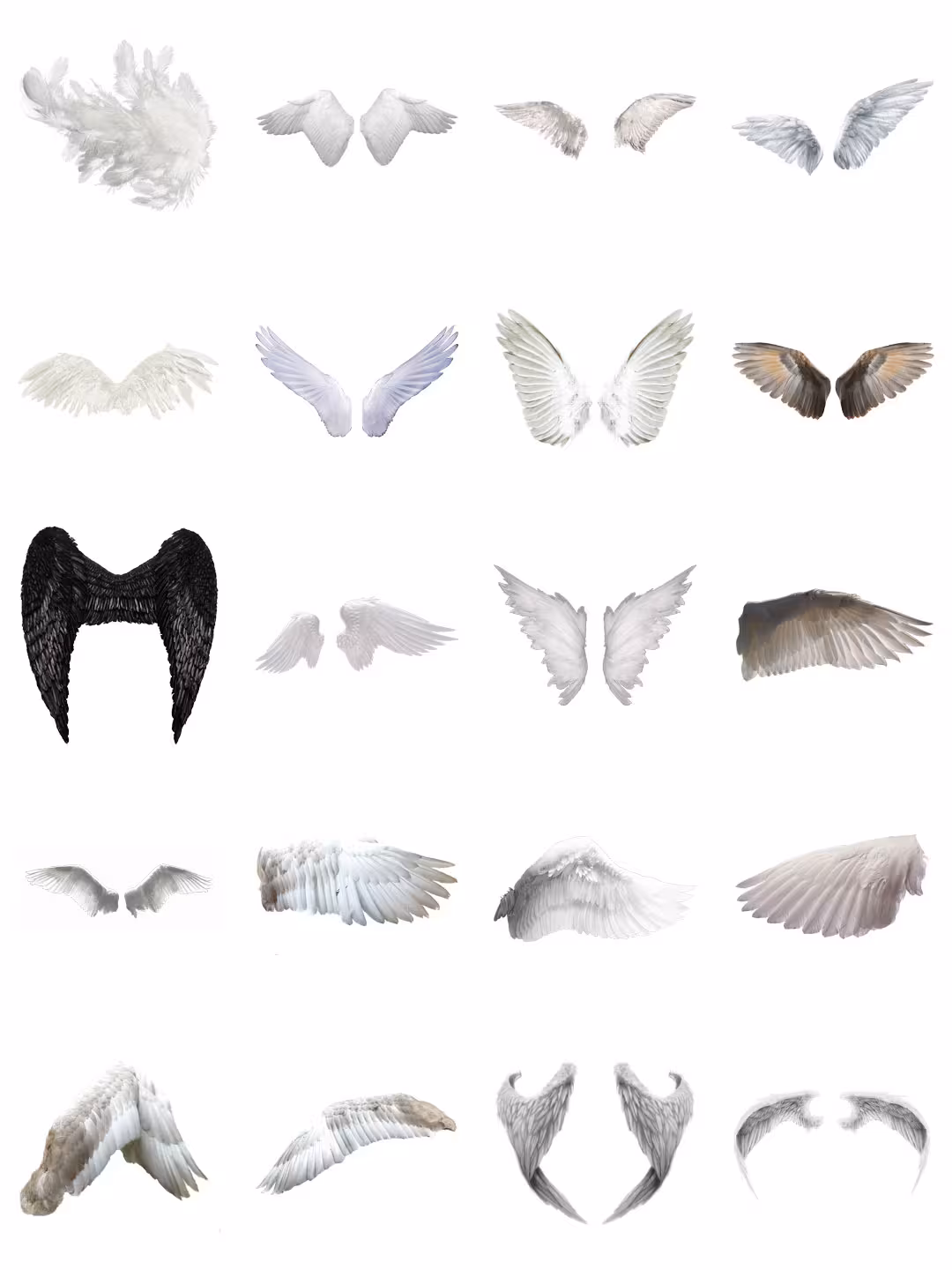 素材分享丨黑白色天使翅膀羽翼png影楼儿童摄影后期装饰合成设计ps