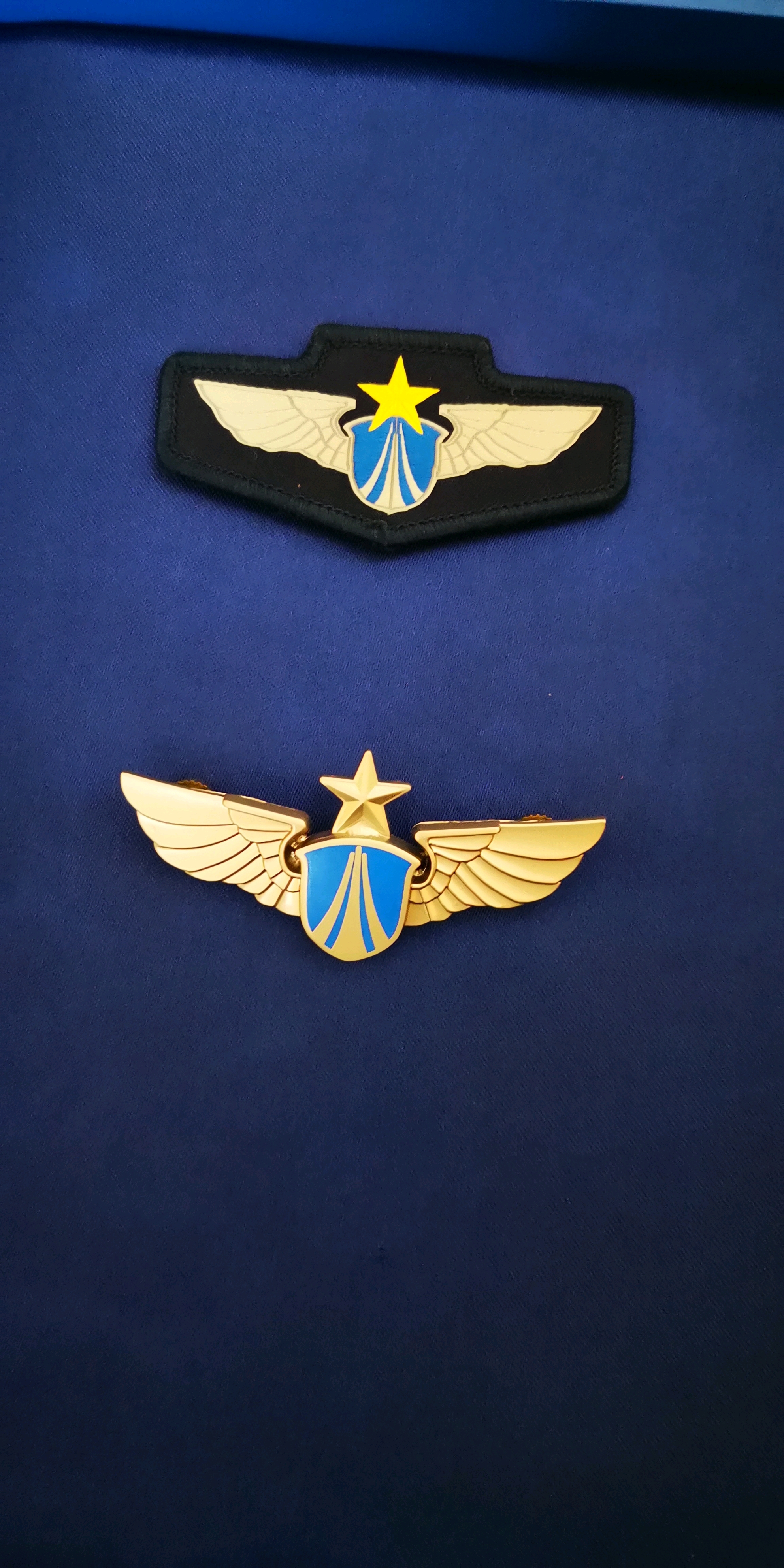 空军学员领徽图片