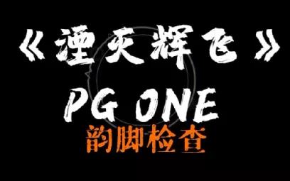 湮灭辉飞pgone图片